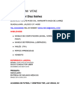 Copia de Curriculum Vitae