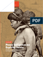   POVOS INDÍGENAS NO  ESPÍRITO SANTO         Revista APEES Numero 11 ISSN2763535X (1)