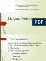 1 Tema 1 2 Anatomy PF PeriodontiumTD-75916