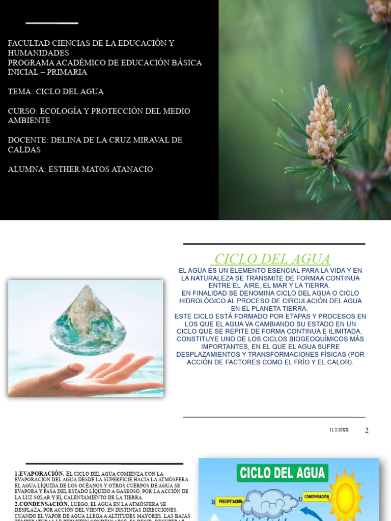 Trabajo Ecologia - Ciclo Del Agua | PDF