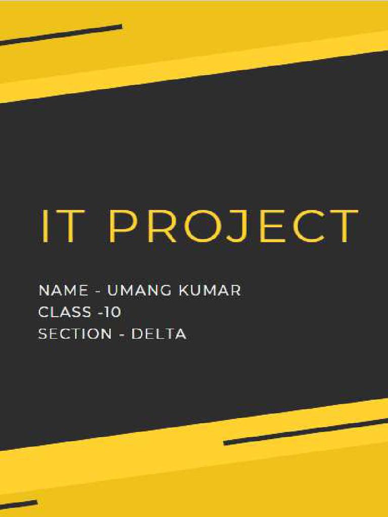 It Portfolio | PDF