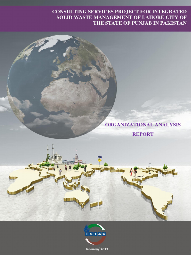 LWMC Organizational Analysis Report | PDF | Chief Financial Officer ...