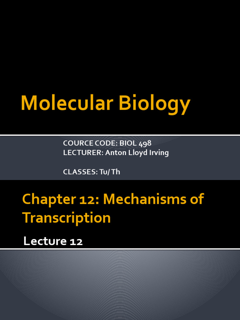 Molecular Biology Lecture 11 Pdf Promoter Genetics Rna