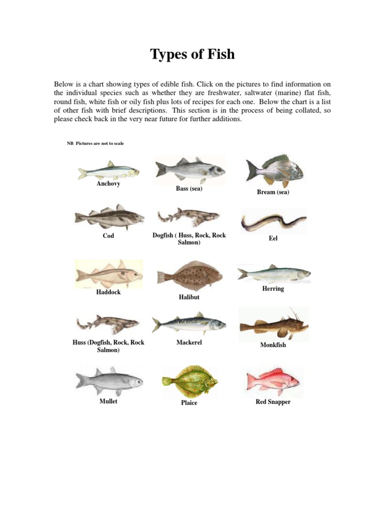 Edible Fish Types and Recipes Chart | PDF | Fish | Edible Fish