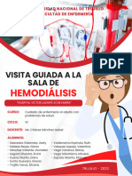 Tarea 01 - Informe de Visita Guiada A La Sala de Hemodiálisis "Hospital Víctor Lazarte Echevarría"