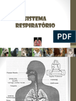 Sistema Respiratório