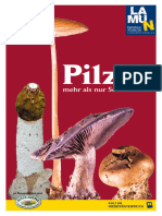 Pilze Mehr Als Nur Schwammerl