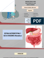 G1 Sistema Gastrointestinal