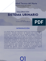 Sistema Urinario