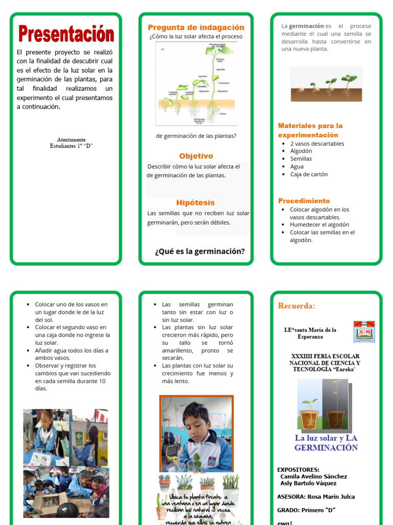 triptico-fencyt-pdf-germinaci-n-naturaleza