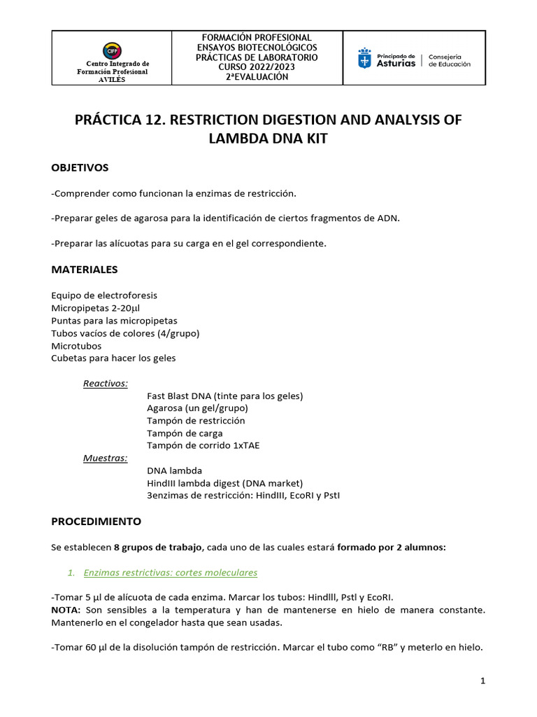 Práctica de Digestión de ADN Lambda | PDF | Enzima restrictiva ...