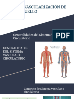 Generalidades Del Sistema Vascular