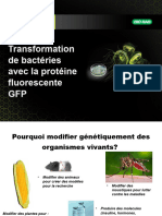 Transformation de Bactéries Avec La Protéine Fluorescente GFP