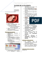 Histología de La Placenta