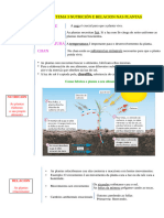 Nutricion e Relacion Nas Plantas