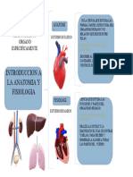 Anatomia y Fisologia