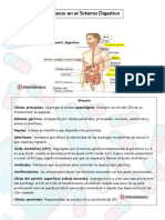 Sistema Digestivo - Farmacologia - Serenfermerxs