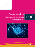 Sistema de Seguridad de Lainformacion