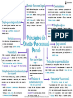 02 - mapa-mental-principios-do-direito-processual-penal (1)