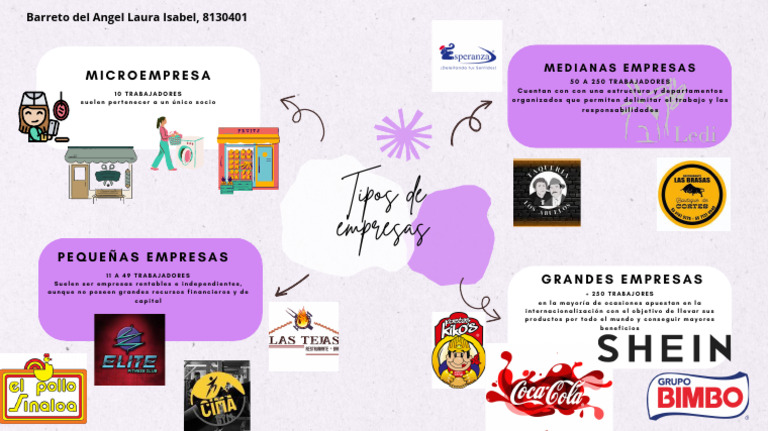 Mapa Mental Sobre El Tipo de Empresas | PDF | Negocios