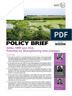 Policy Brief: SDGS, DRR and Cca: Potential For Strengthening Inter-Linkages