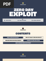 Zero Day Expliot