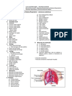 Roteiro - Anatomia Do Sistema Respiratório