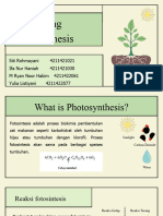 Fotosintesis Kel 1