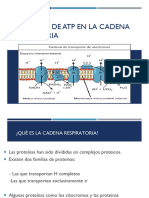 3-2022 Cte y Fosforilacion Oxidativa