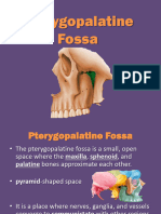 Pterygopalatine Fossa