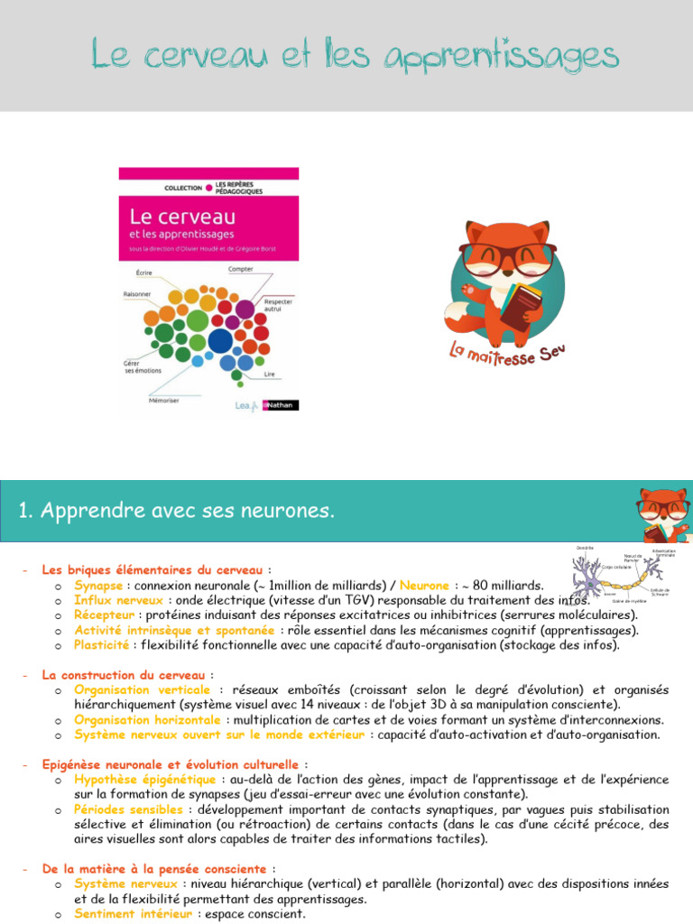 Neurosciences et apprentissages clés | PDF | Mémoire | Attention