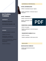 Curriculum Vitae Plantilla