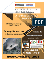 SEMANA 25 - SECUNDARIA - 3ER A 5TO GRADO - La Vaquita Marina (Phocoenasinus)