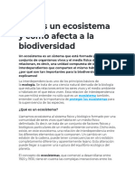 Qué es un ecosistema y cómo afecta a la biodiversidad