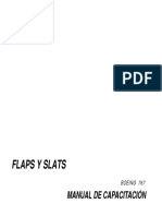 10b PM67 Flaps Slats