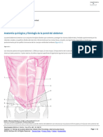 Capítulo 12 - Hernias de La Pared Abdominal