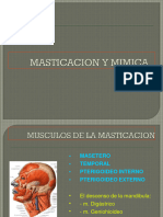 2da Sesión - Musculos de La Masticacion