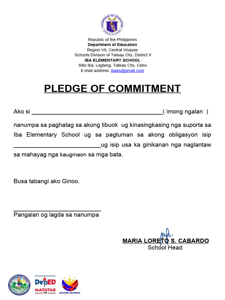 Pledge Commitment Oath Discipline Agreement PDF