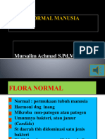 Flora Normal Dan INFEKSI NOSOKOMIAL