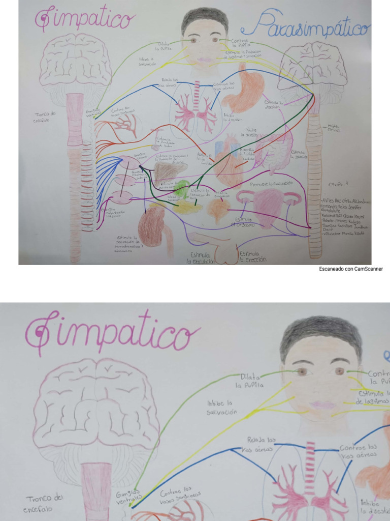 ᐅ Heiße Sexstellungen für Dicke  paradiside
