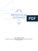 Informe de Proyecto de Extension