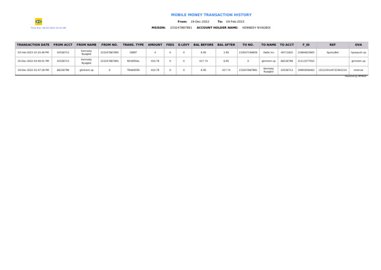 Momo Statement Report | PDF
