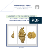 Anatomy of The Urogenital System Textbook