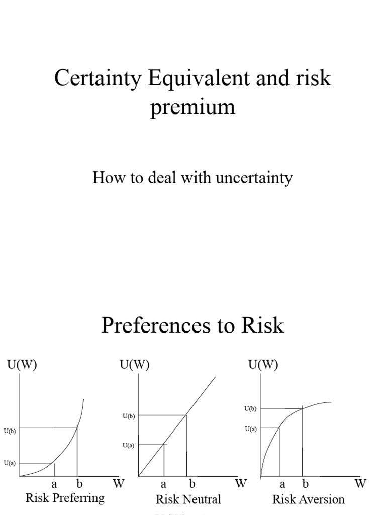 Risk Premium 3rd Lect | PDF | Risk Premium | Probability