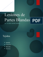 Lesiones de Partes Blandas