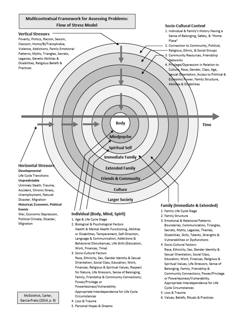 H2.5 Flow of Stress Through The Family (2014) | PDF | Stress (Biology ...