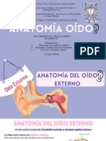 Presentación Biología Cuerpo Humano Huesos Orgánico Ilustrado Rosa y Lila
