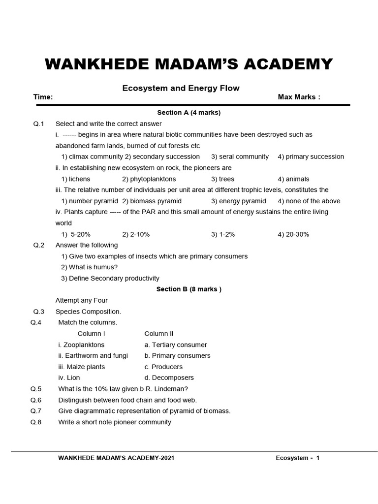 Ecosystem Sb 01124338 Pdf Ecosystem Food Web
