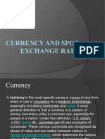 Currency and Spot Exchange Rate