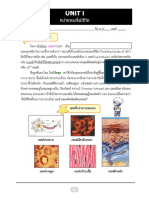 M1 Cells and Microscope